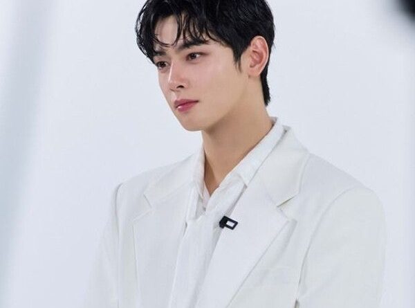 차은우, 200억 원대 탈세 의혹에 광고계 ‘거리두기’…관련 콘텐츠 잇단 비공개