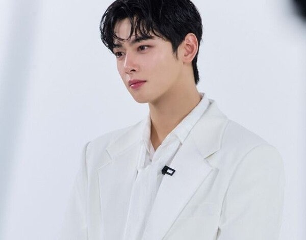 차은우, 200억 원대 탈세 의혹에 광고계 ‘거리두기’…관련 콘텐츠 잇단 비공개